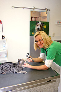 Tierärztin Dr.Susanne Weber